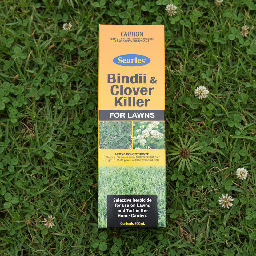 SEARLES Bindii & Clover for Lawns