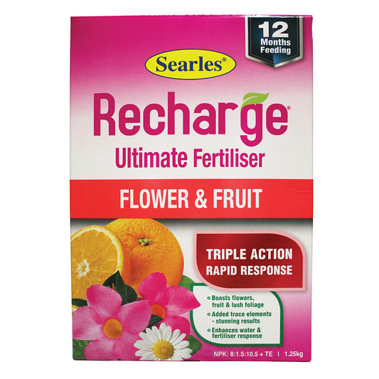 SEARLES Recharge Flower & Fruit