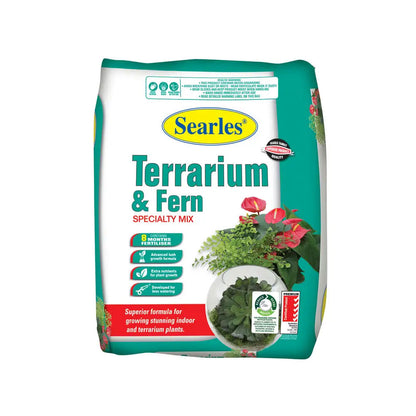 SEARLES Terrarium and Fern Specialty Mix