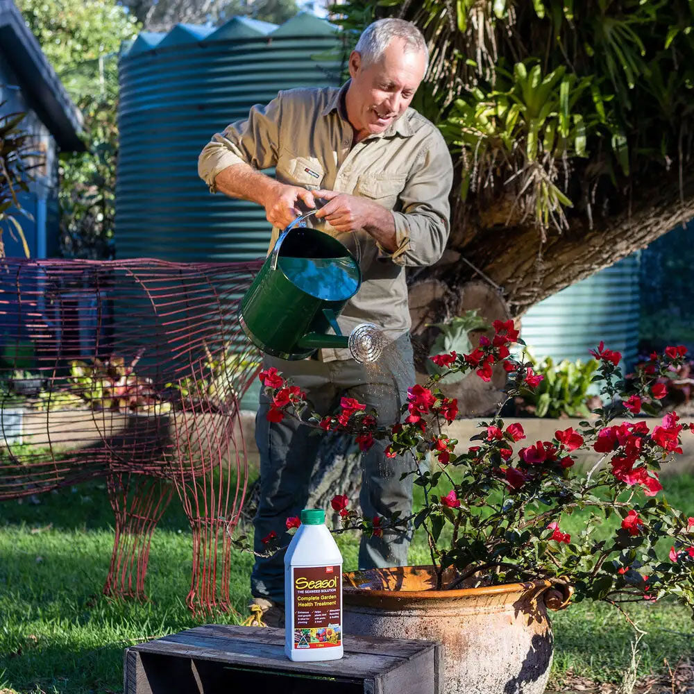 SEASOL Seaweed Concentrate Complete Garden Health Treatment