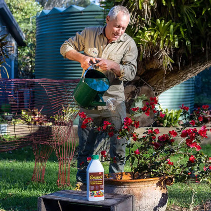 SEASOL Seaweed Concentrate Complete Garden Health Treatment