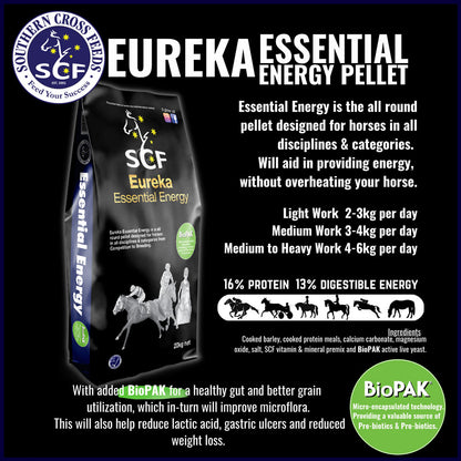 SOUTHERN CROSS FEEDS Eureka Essential Energy