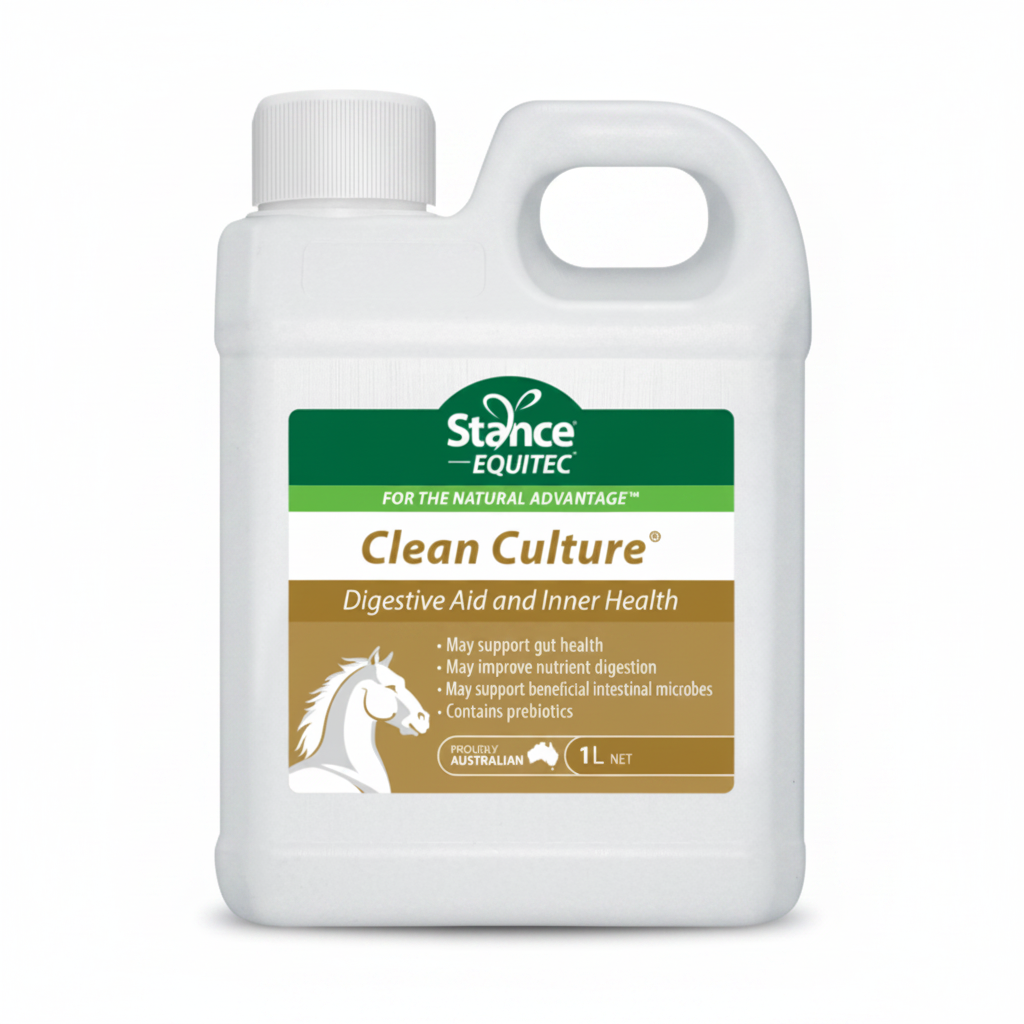 Stance Equitec Clean Culture 1L 