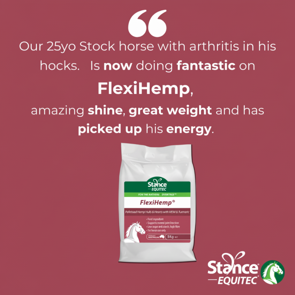 Stance Equitec FlexiHemp Testimonial Square
