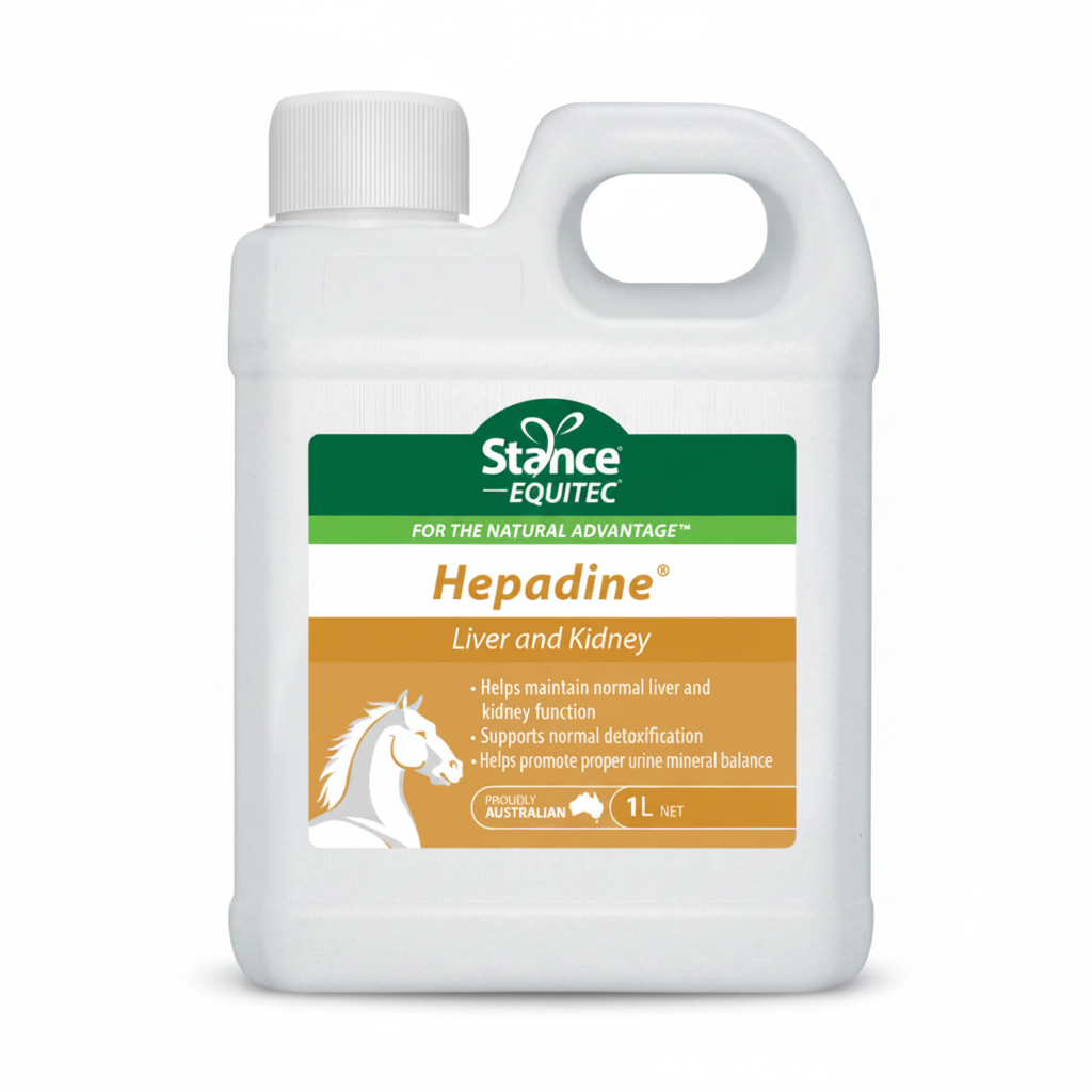 Stance Equitec Hepadine 1L 
