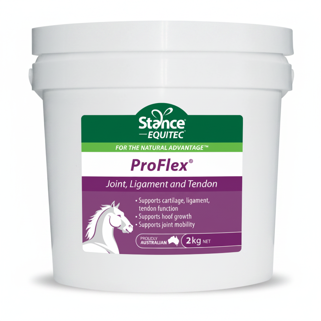 Stance Equitec ProFlex 2kg 