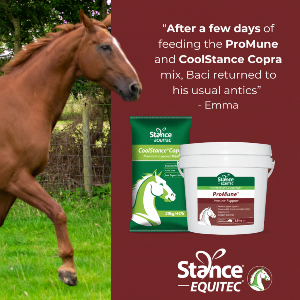Stance Equitec ProMune CoolStance Copra Testimonial Banner Square