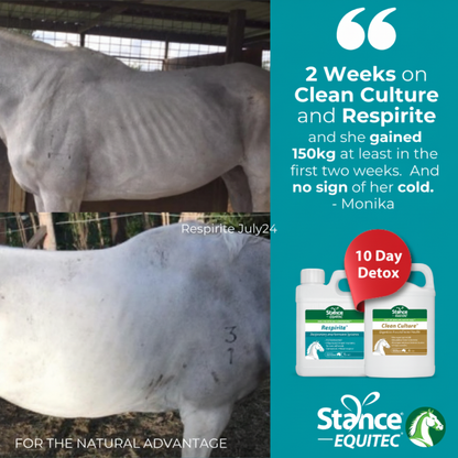 Stance Equitec Respirite Clean Culture Testimonial Banner Square