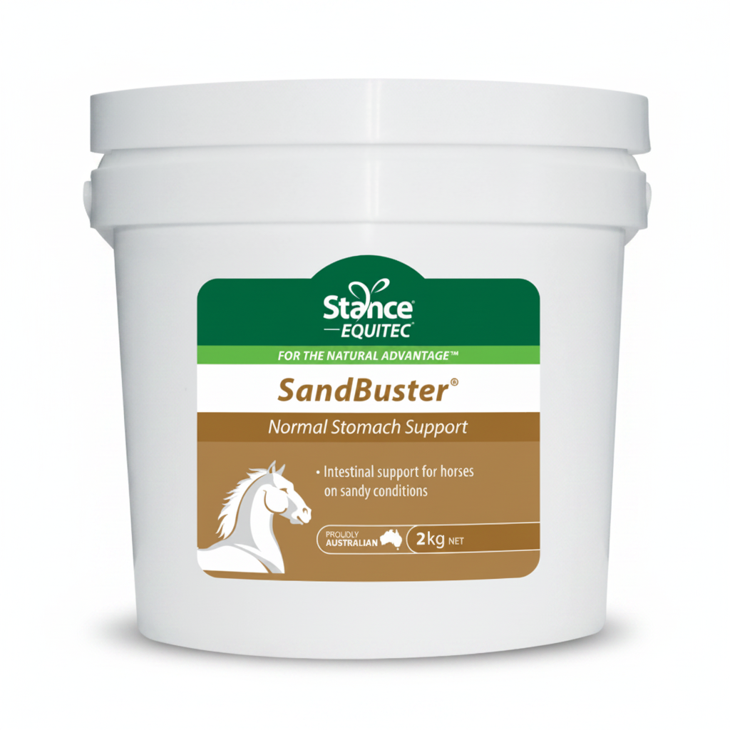 Stance Equitec SandBuster 2kg