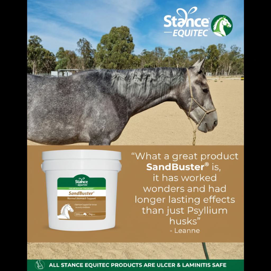 Stance Equitec SandBuster Leanne Testimonial Banner Square