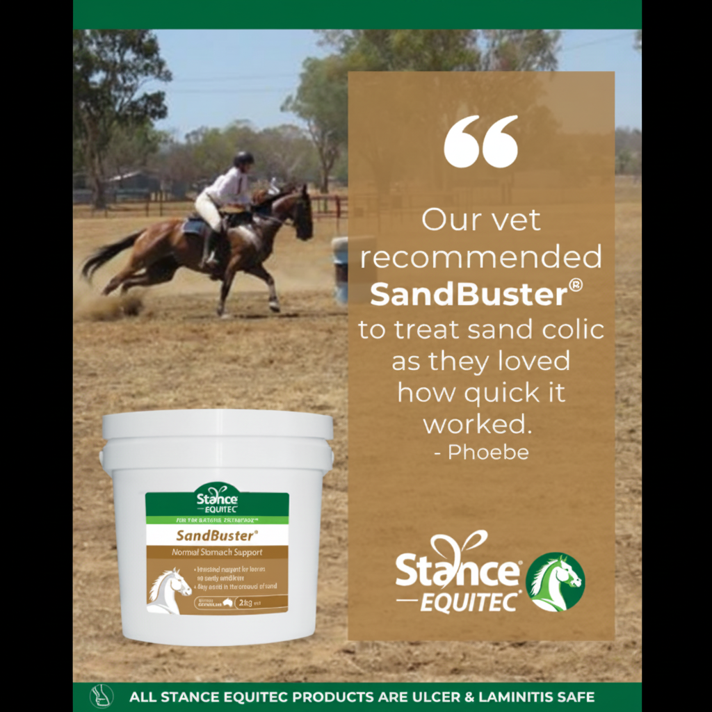 Stance Equitec SandBuster Phoebe Testimonial Banner Square