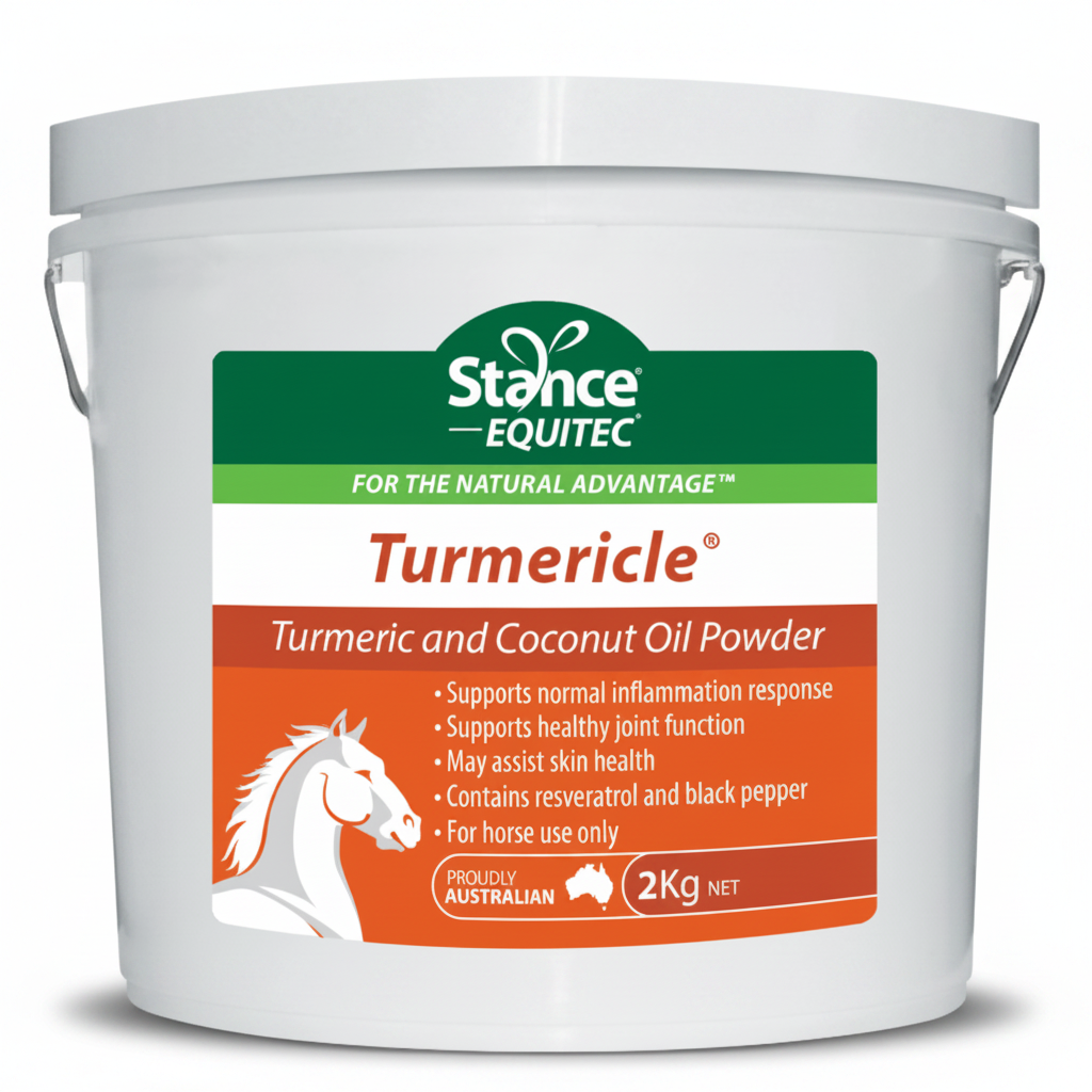 Stance Equitec Turmericle 2kg