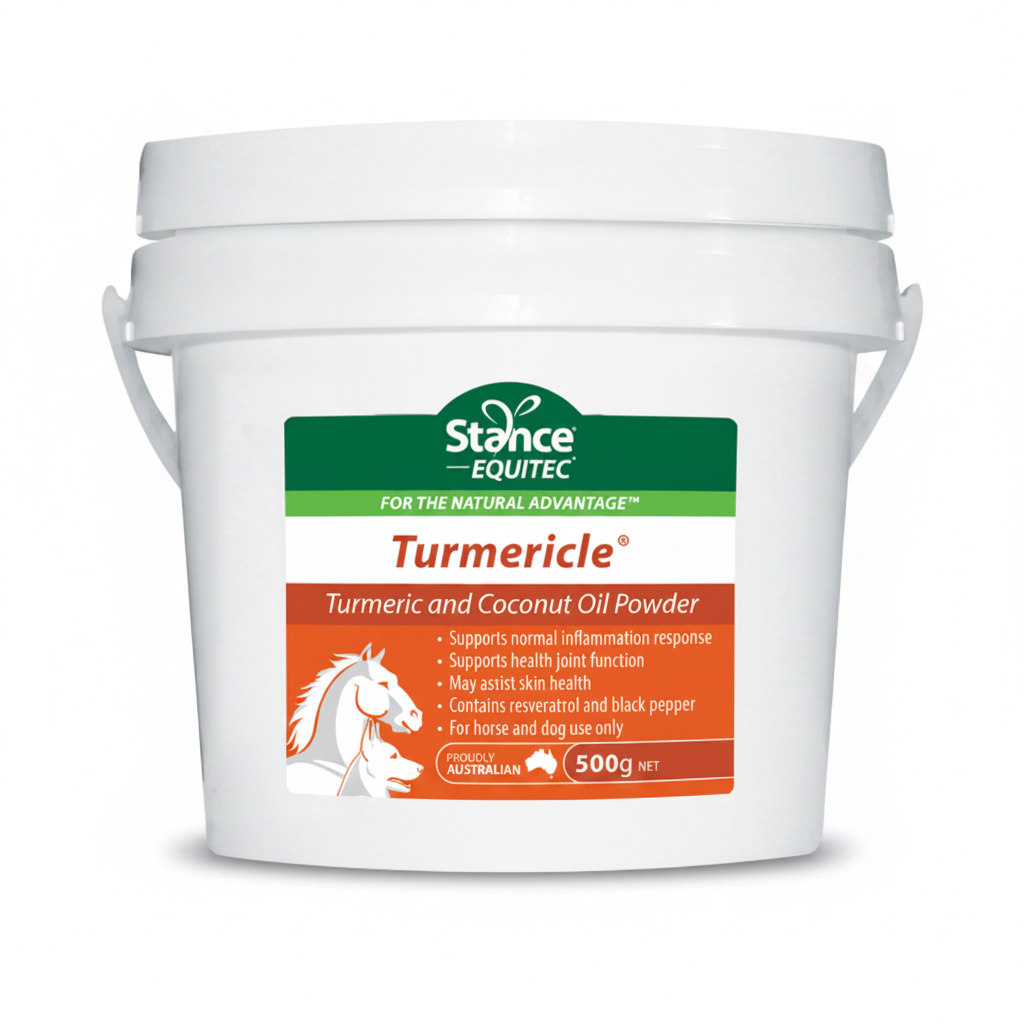 Stance Equitec Turmericle 500g 