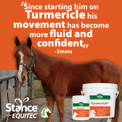 Stance Equitec Turmericle Emma Testimonial Banner Square