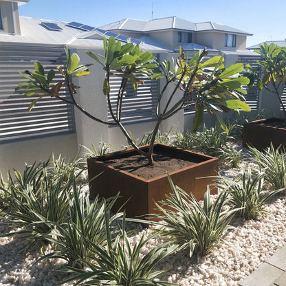 STRAIGHTCURVE Planter Boxes