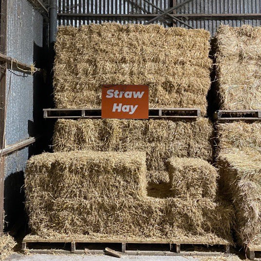 Straw Rectangle Bale
