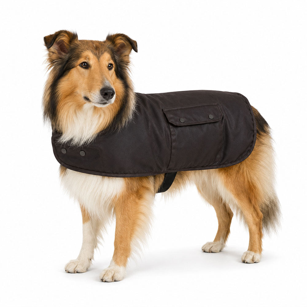 STYX MILL Oilskin Brown Lined Dog Coat