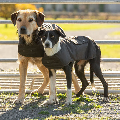 STYX MILL Oilskin Brown Lined Dog Coat