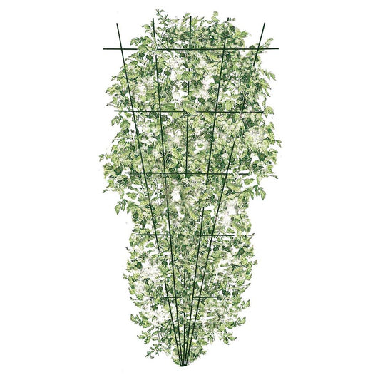 TAKASHO Fan Trellis (120 to 180cm)