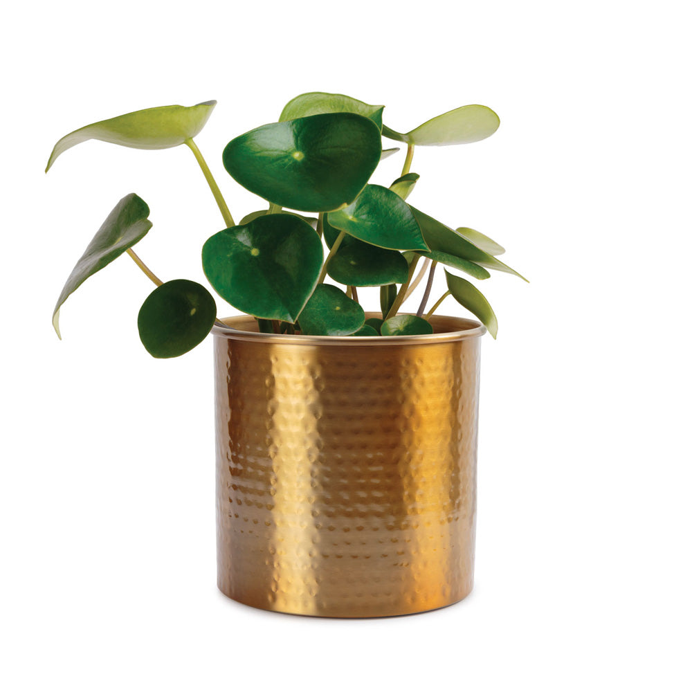 TAKASHO Indoor Planter Lulla (17cm/22cm)
