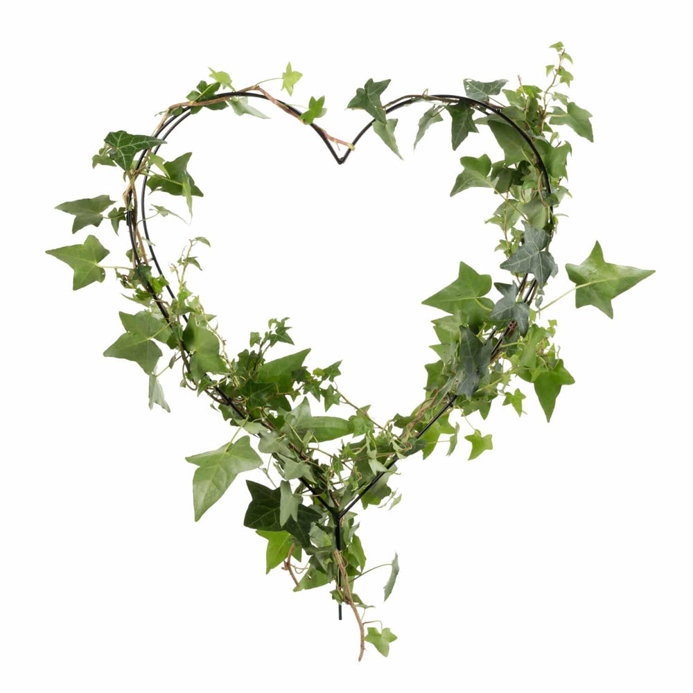 TAKASHO Topiary Frame Heart 35cm