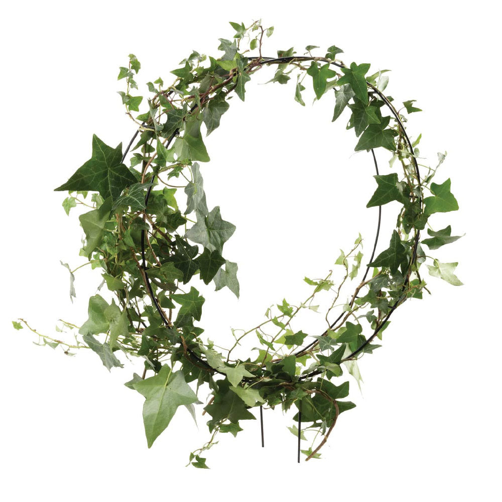 TAKASHO Topiary Frame Round 35cm