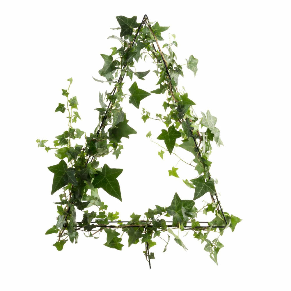 TAKASHO Topiary Frame Triangle 35cm