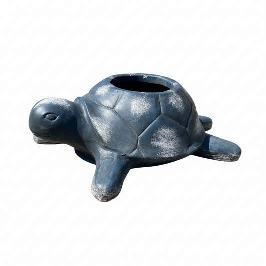 Turtle-pot-garden
