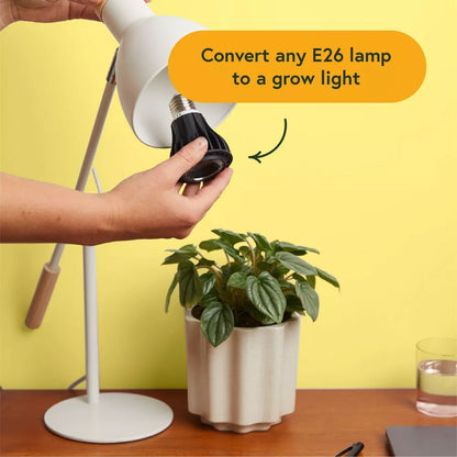 WE THE WILD Instant Sun LED Grow Bulb