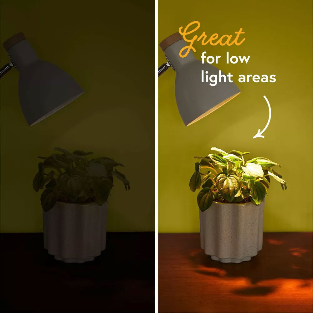 WE THE WILD Instant Sun LED Grow Bulb