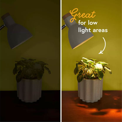 WE THE WILD Instant Sun LED Grow Bulb
