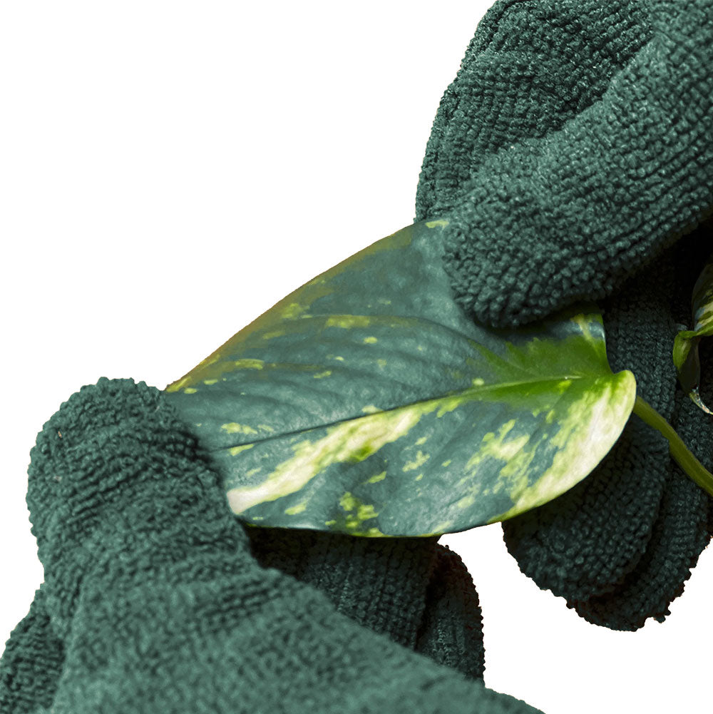 WE THE WILD Leaf Cleaning Gloves