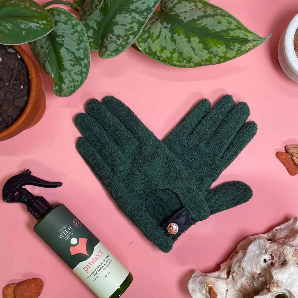 WE THE WILD Leaf Health Kit With Gloves