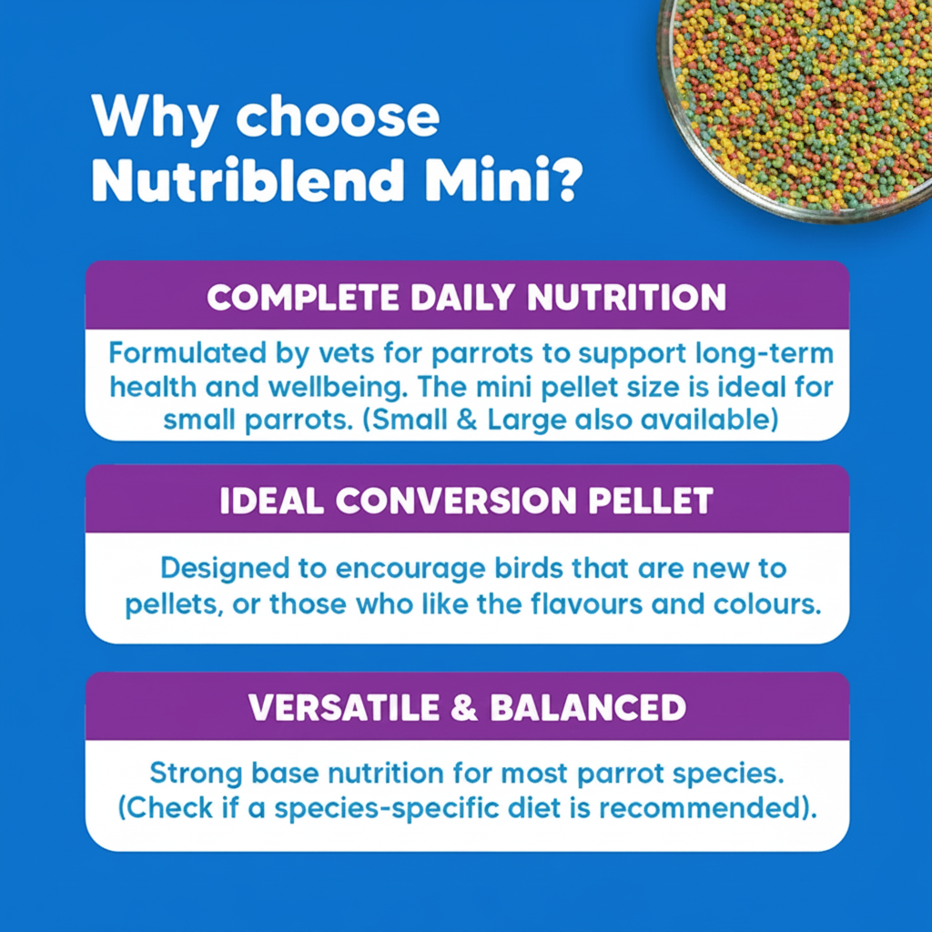 Why Choose Nutriblend Mini - Square