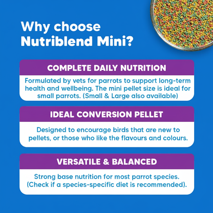 Why Choose Nutriblend Mini - Square