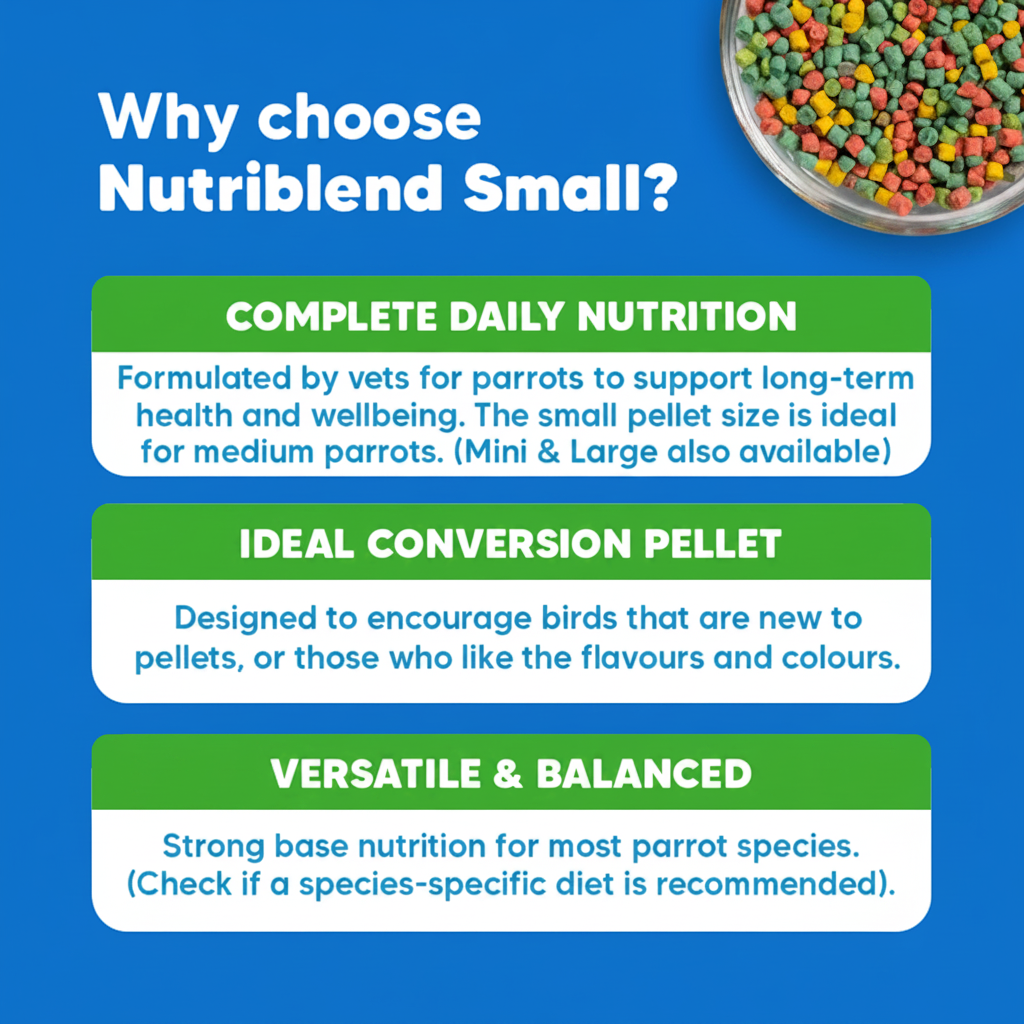 Why Choose Nutriblend Small - Square