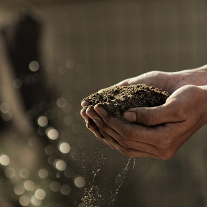YATES Agri Boost Organic Fertiliser