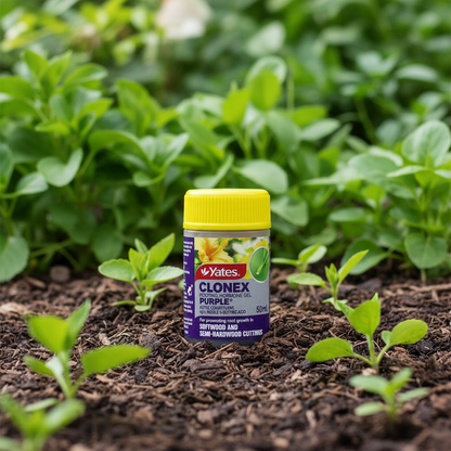 YATES Clonex Rooting Hormone Gel - Purple