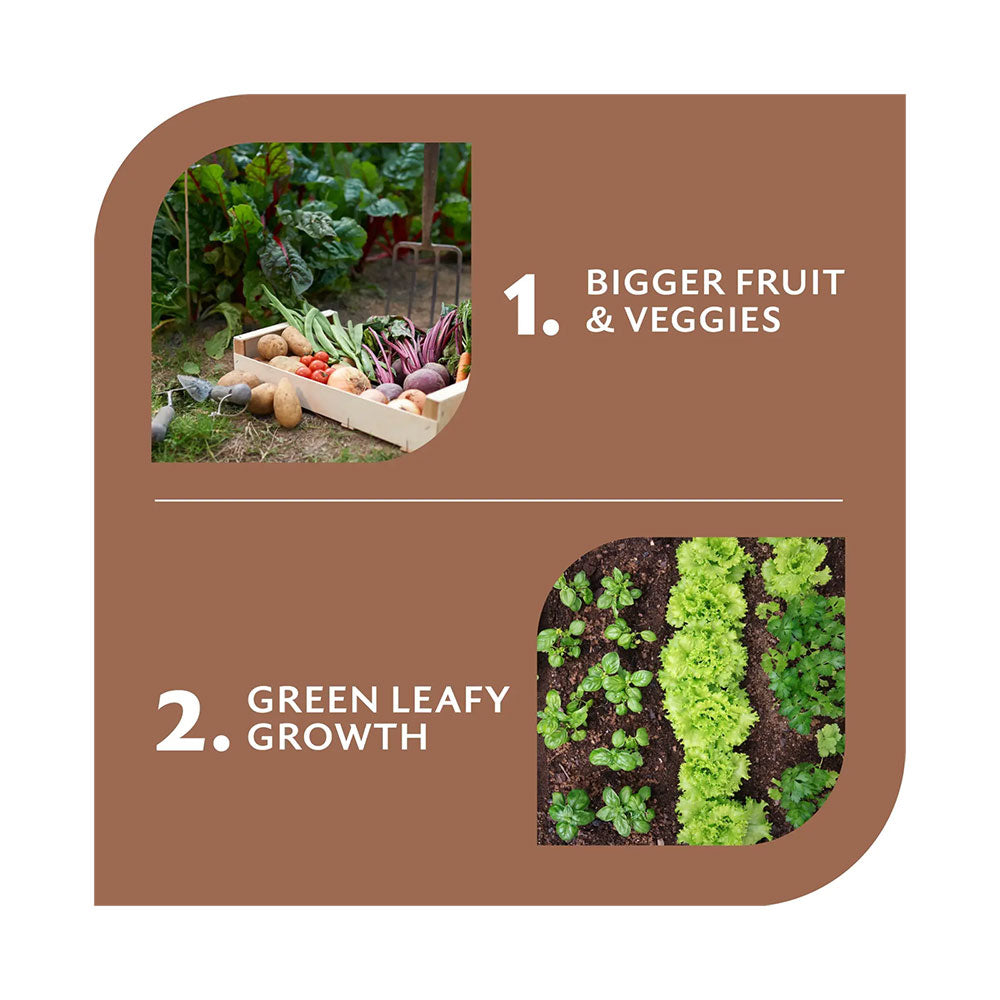 YATES Dynamic Lifter Organic Plant Food & Soil Improver Pellets