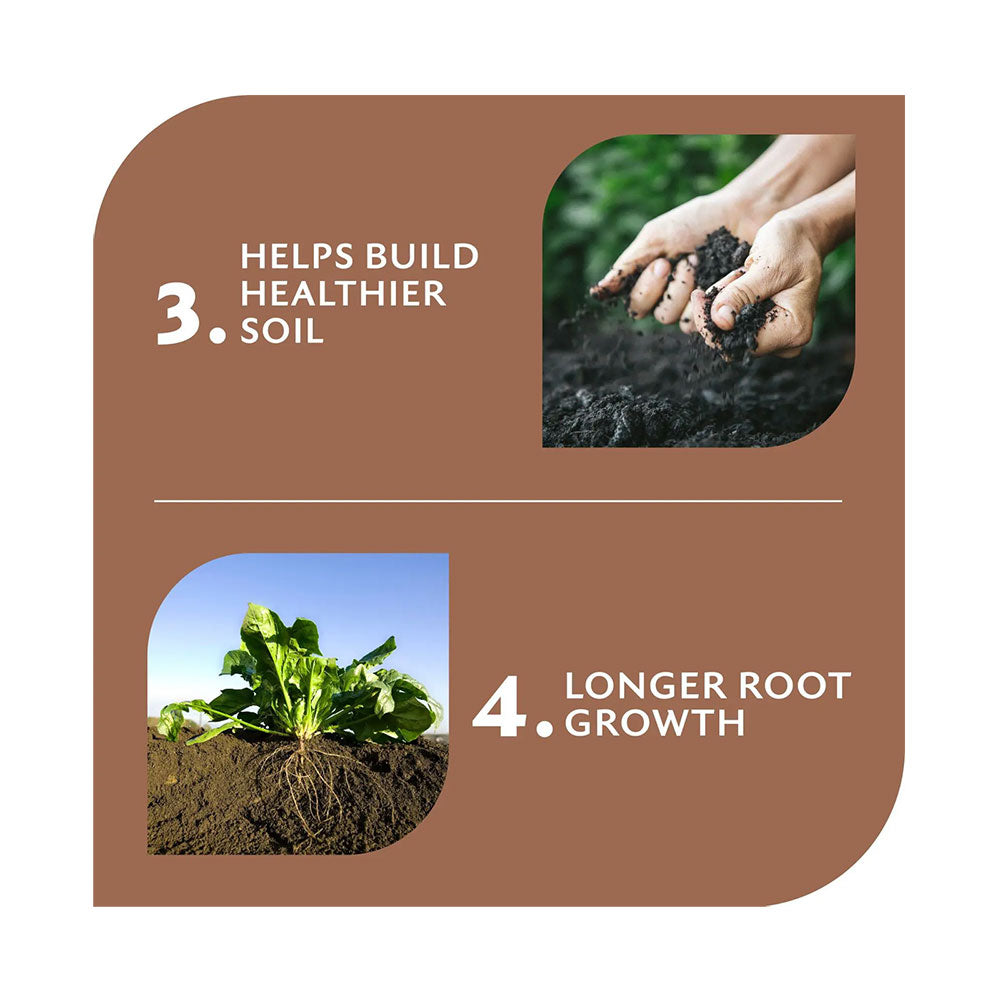 YATES Dynamic Lifter Organic Plant Food & Soil Improver Pellets ...