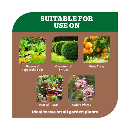 YATES Dynamic Lifter Organic Plant Food & Soil Improver Pellets