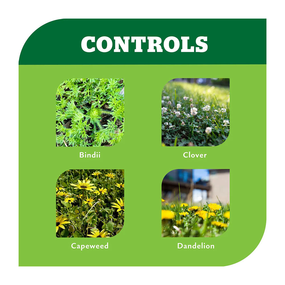 YATES Bindii & Clover Weeder Concentrate