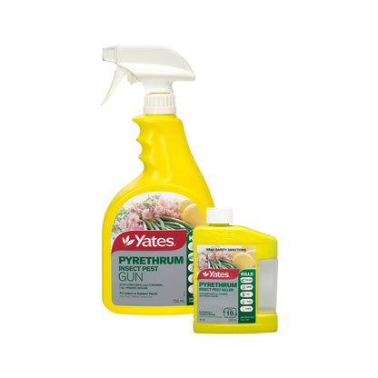 YATES Pyrethrum Insect Pest Killer