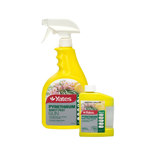 YATES Pyrethrum Insect Pest Killer