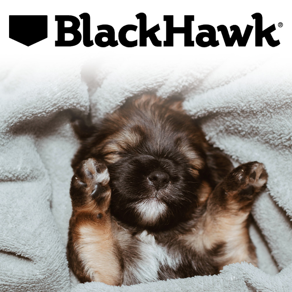 PUPPY TO ADULTHOOD - THE BLACK HAWK WAY