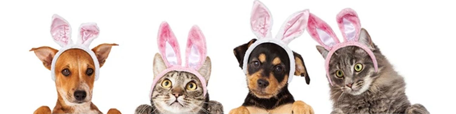EASTER PET CARE GUIDE - HOW TO INCLUDE YOUR PET IN THE EASTER FUN