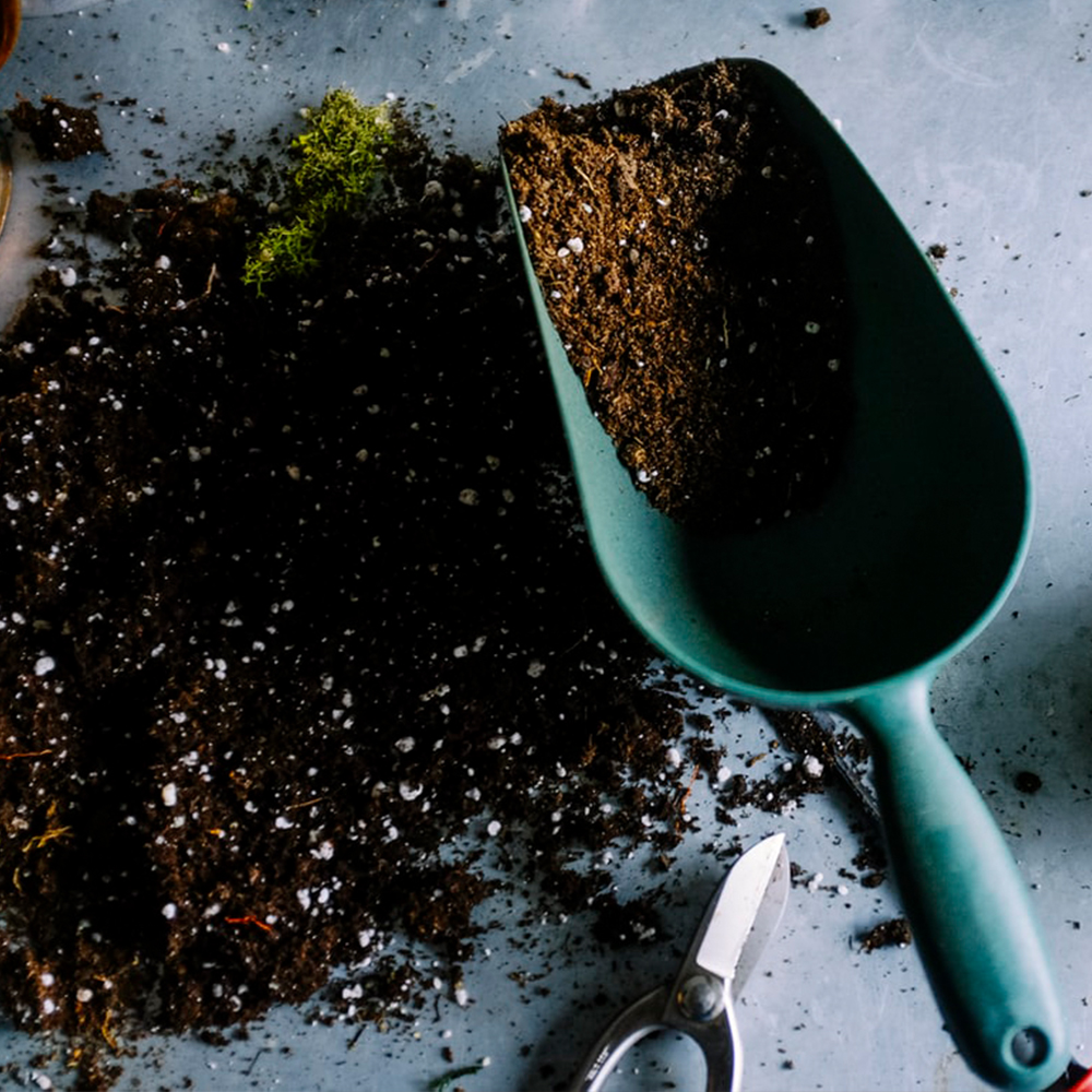 WHAT IS GARDEN MULCH AND WHY YOU NEED IT THIS SUMMER?