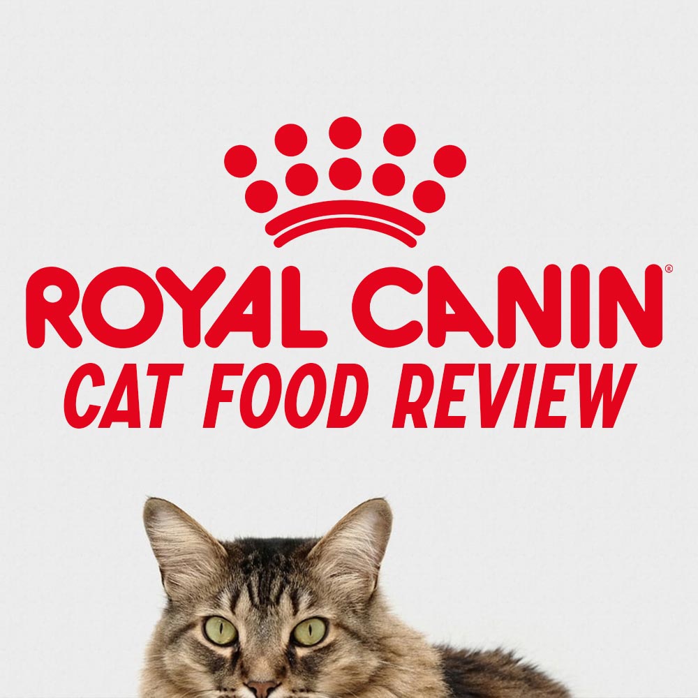 THE NEXT BIG THING IN CAT FOOD: ROYAL CANIN