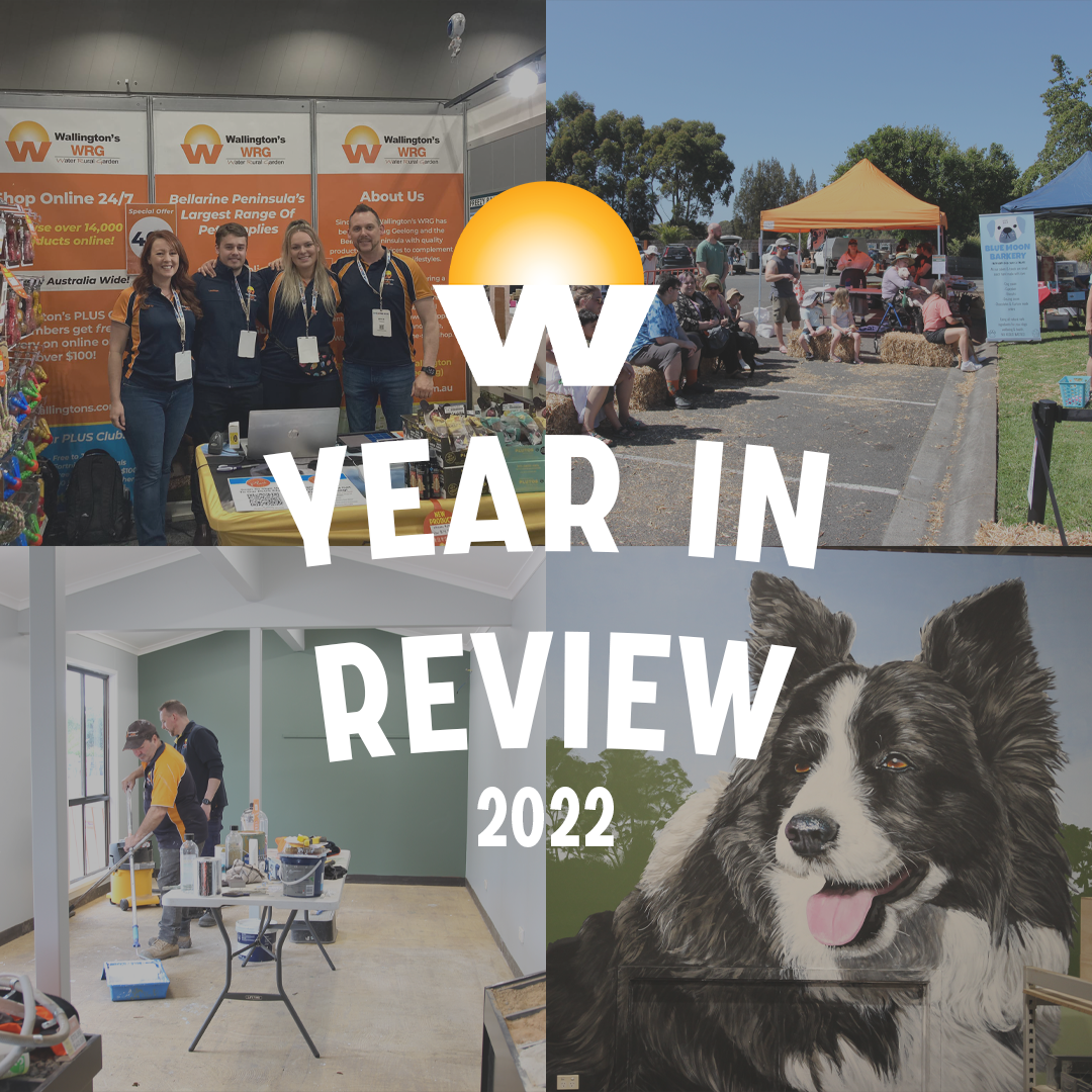 WALLINGTON'S 2022 IN REVIEW