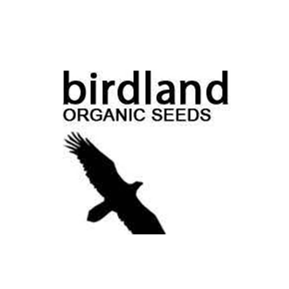 Birdland Organic Seed